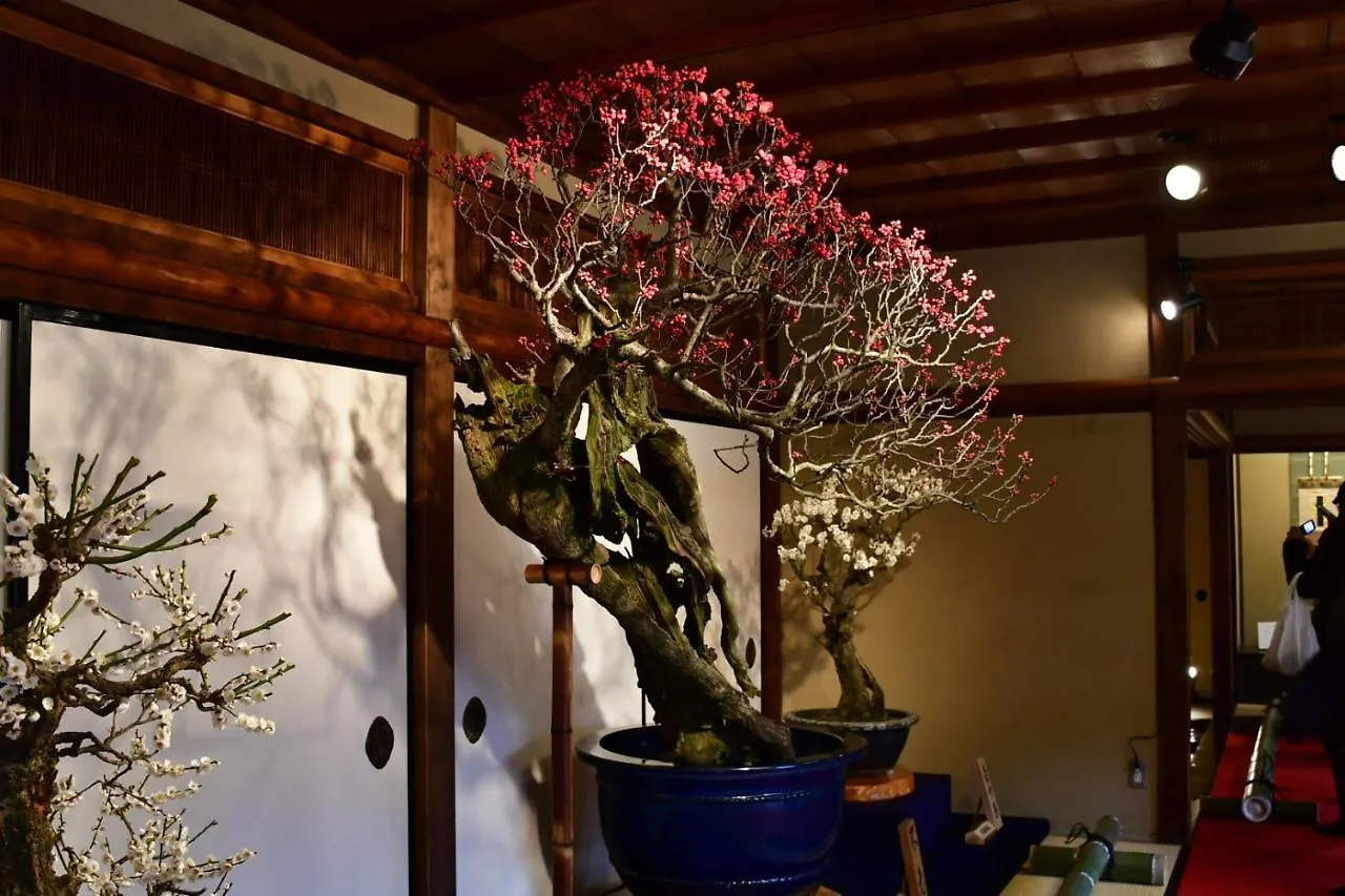 Cozyhouse 211 Free Wifi A Rented Electric Bicycle Apartment Kyoto
